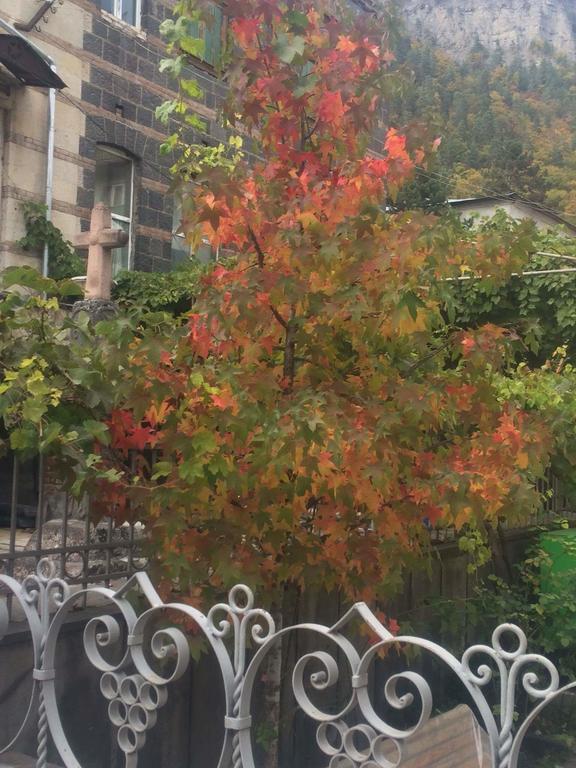 Old House Rustaveli Ξενοδοχείο Borjomi Εξωτερικό φωτογραφία